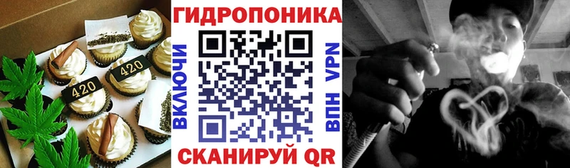 даркнет как зайти  Магас  Cannafood конопля 