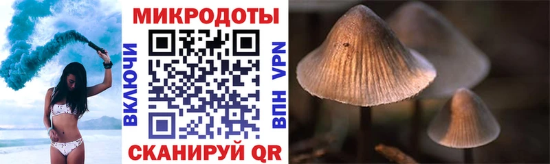 купить  цена  Магас  Псилоцибиновые грибы мухоморы 